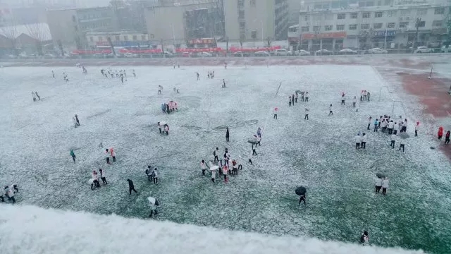 1523622772115454.jpg